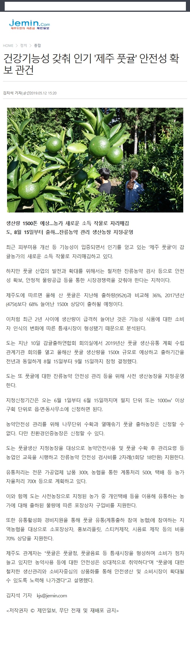 건강기능성 갖춰 인기 '제주풋귤'안정성 확보 관건