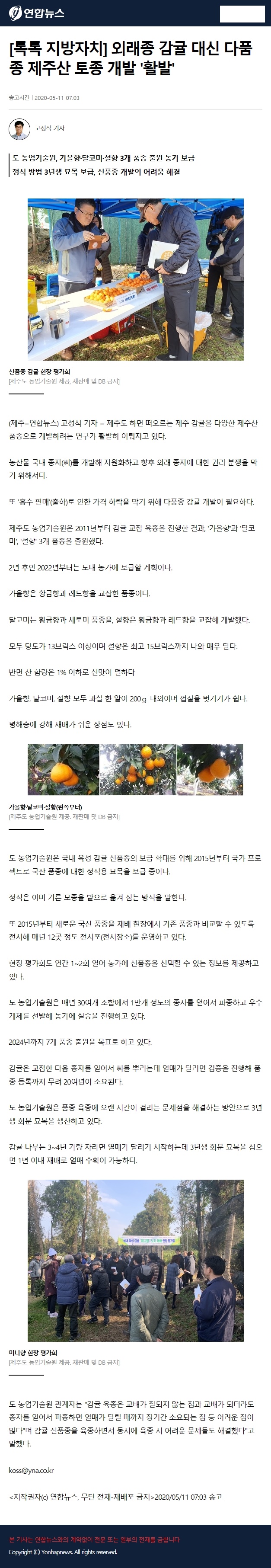 외래종 감귤 대신 다품종 제주산 토종 개발 활발