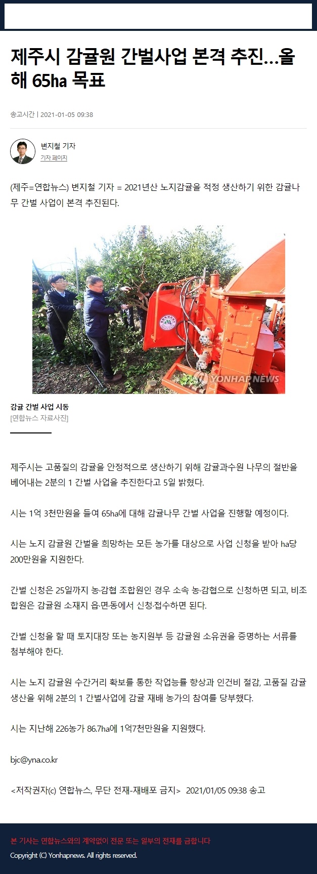 제주시, 감귤원 간벌사업 본격 추진.. 올해 65ha 목표