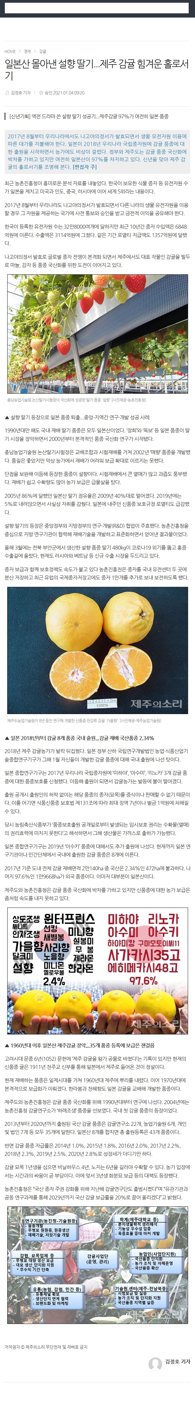 일본산 몰아낸 설향 딸기.. 제주감귤 힘겨운 홀로서기