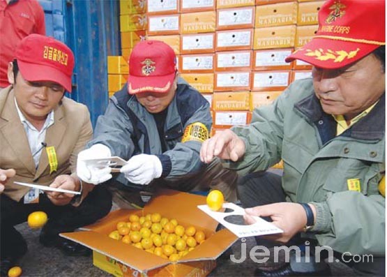 소비자는 불량 감귤에 속지 않는다