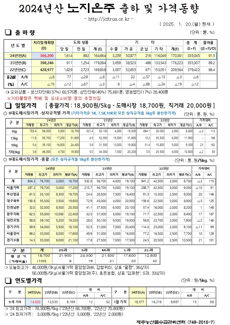 [노지온주]2024년산 출하 및 가격동향(1/20)