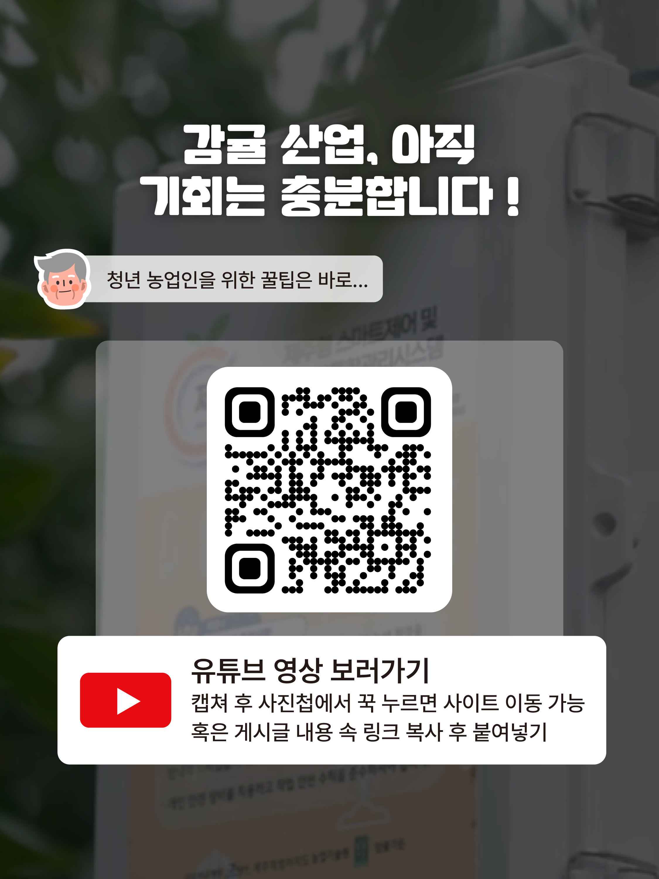 [김종우 명인]스마트팜과 빅데이터를 활용한 고품질 감귤 생산