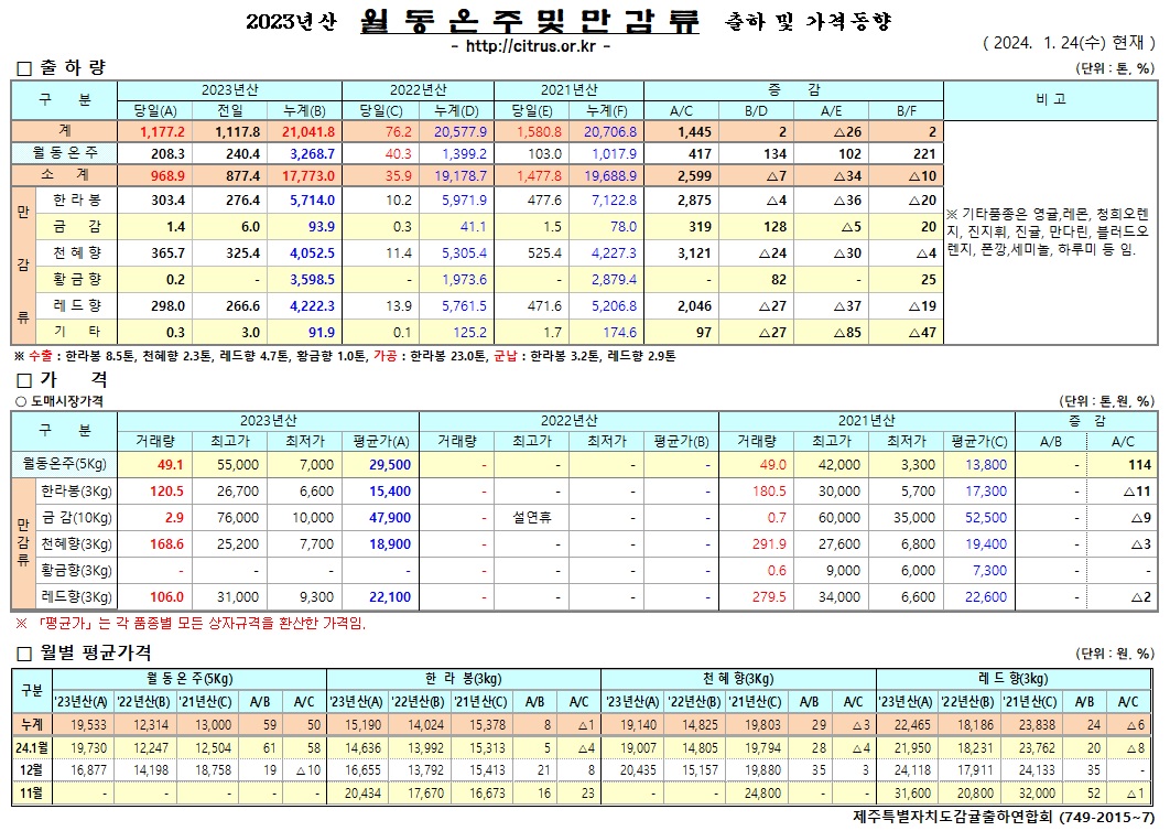 [월동&만감]2023년산 출하 및 가격동향(1/24)