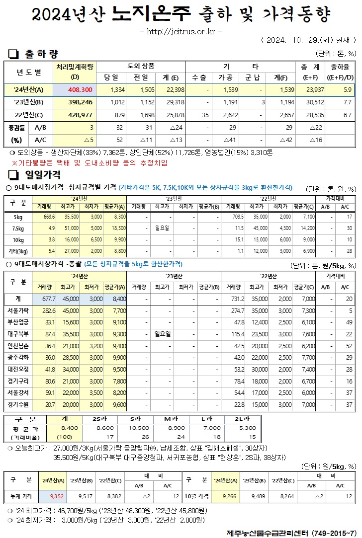 [노지온주]2024년산 출하 및 가격동향(10/29)