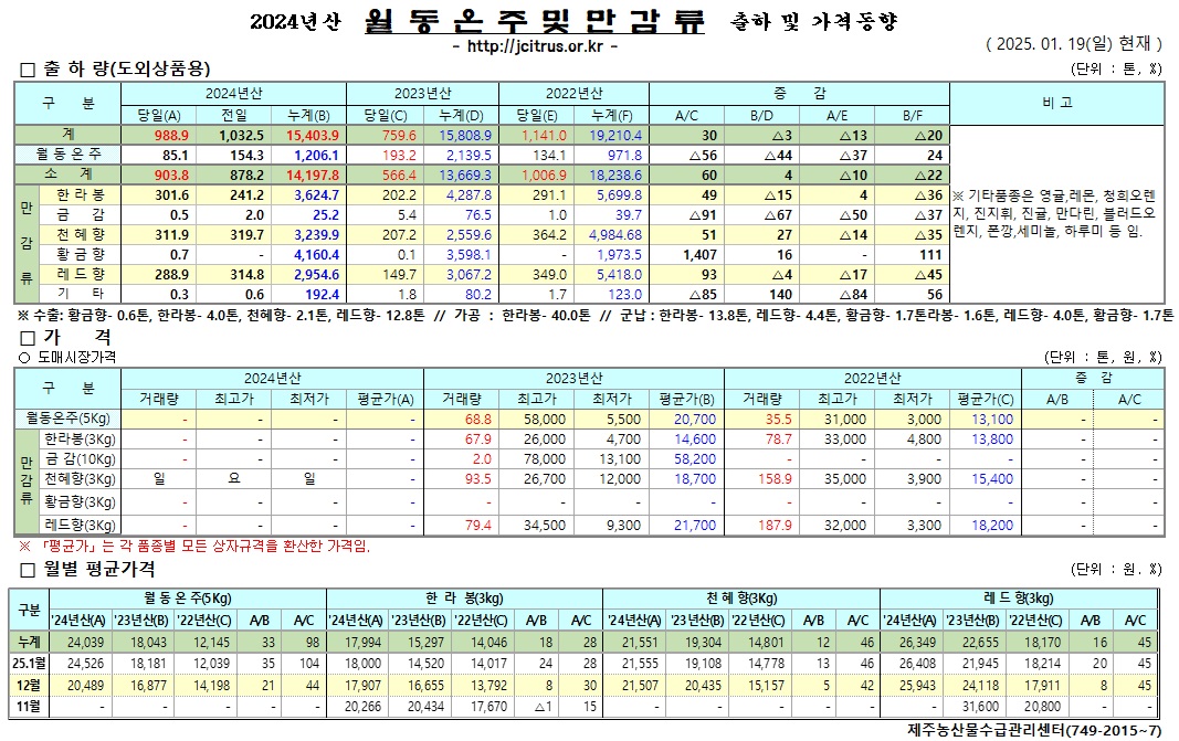 [월동&만감]2024년산 출하 및 가격동향(1/19)