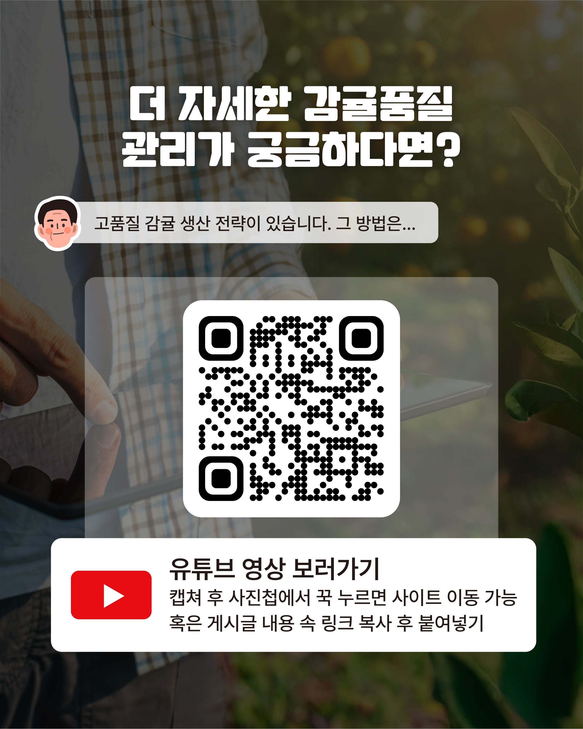 [16년차, 김진성 명인]경매시장 최고가 고품질 이끈 비밀의 기술은?