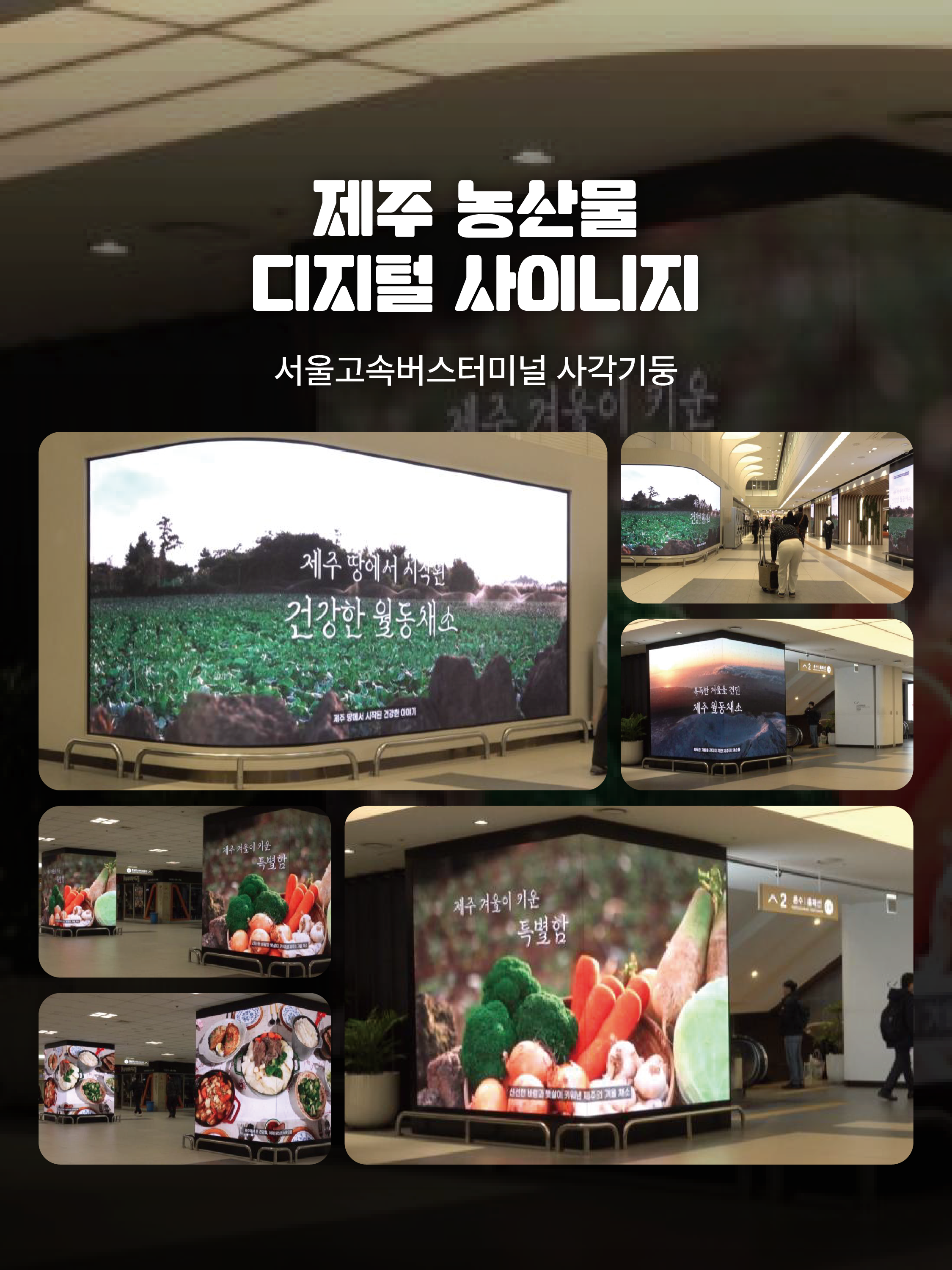 서울고속버스터미널 제주 월동채소 홍보영상 송출