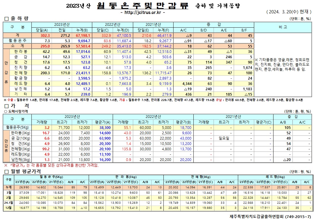 [월동&만감]2023년산 출하 및 가격동향(3/20)