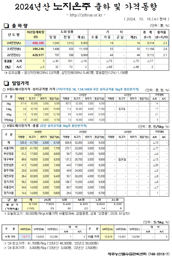 [노지온주]2024년산 출하 및 가격동향(10/16)