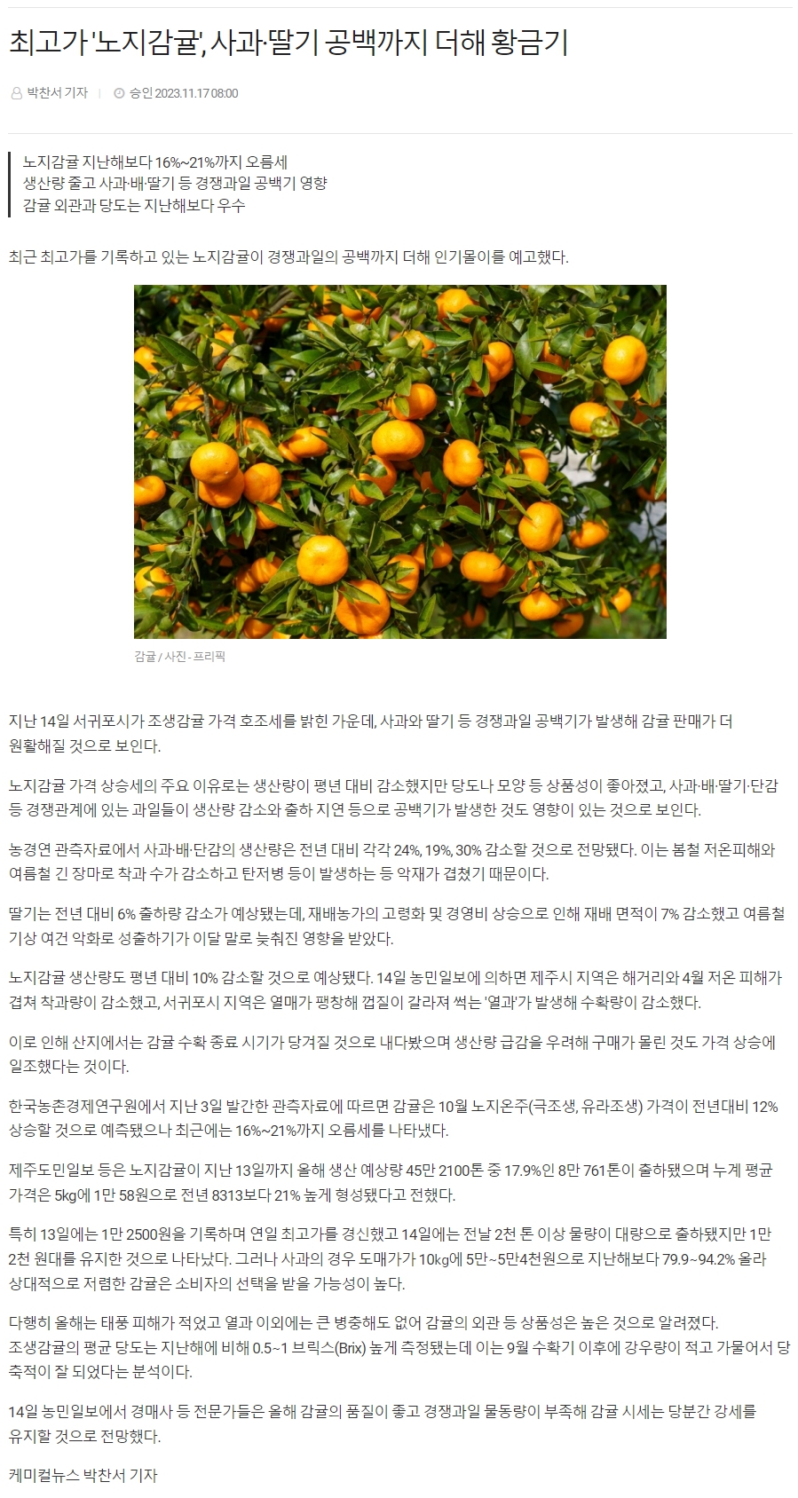 최고가 '노지감귤', 사과·딸기 공백까지 더해 황금기