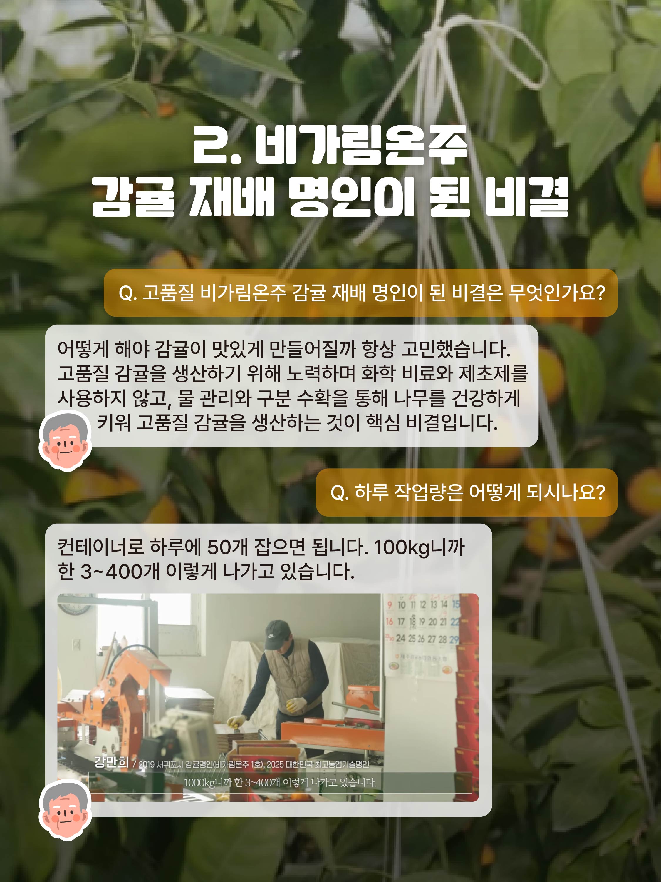[강만희 명인]고품질 비가림온주로 완성한 명인의 길