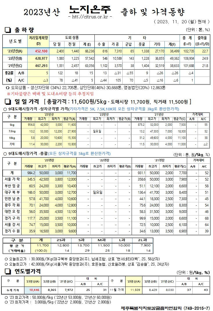 [노지온주]2023년산 출하 및 가격동향(11/20)