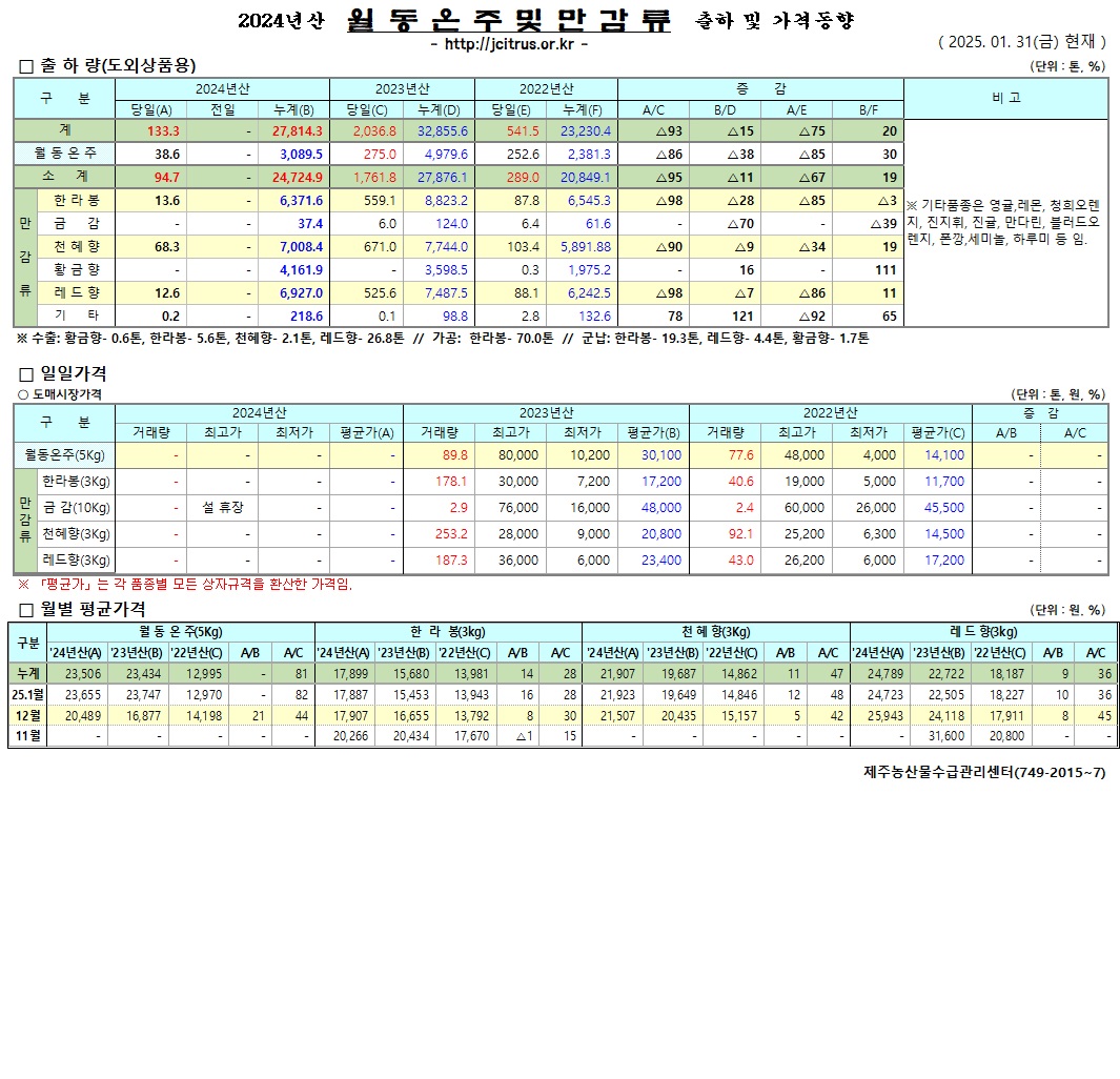 [월동&만감]2024년산 출하 및 가격동향(1/31)