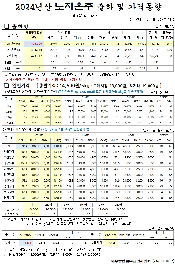 [노지온주]2024년산 출하 및 가격동향(12/6)