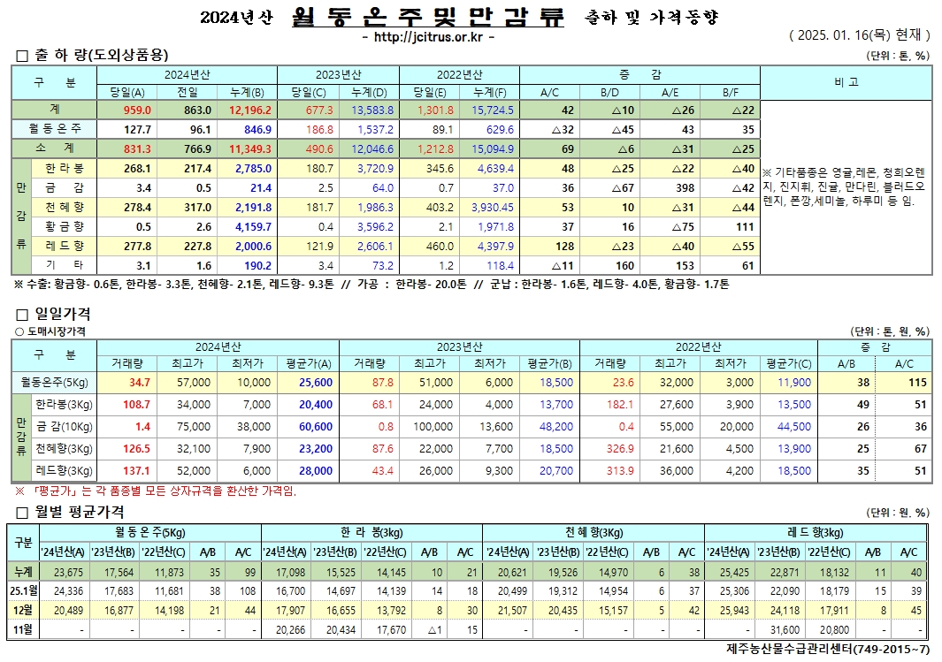 [월동&만감]2024년산 출하 및 가격동향(1/16)