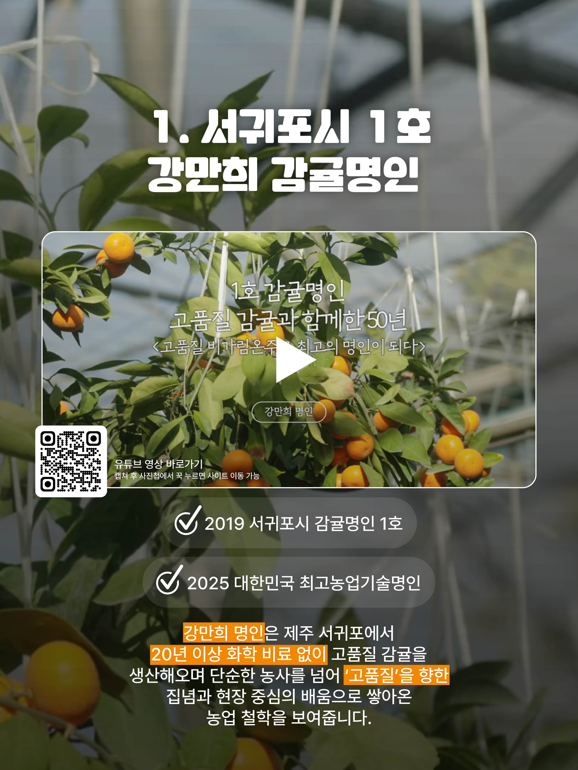 [강만희 명인]고품질 비가림온주로 완성한 명인의 길