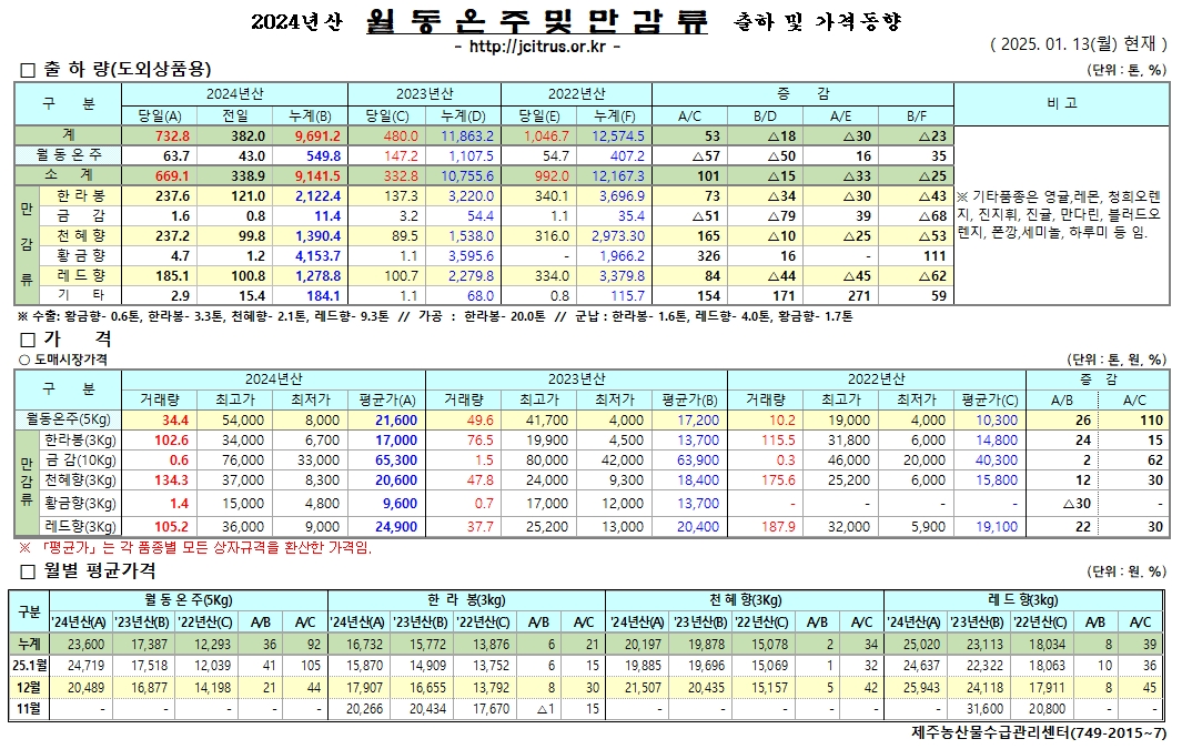 [월동&만감]2024년산 출하 및 가격동향(1/13)
