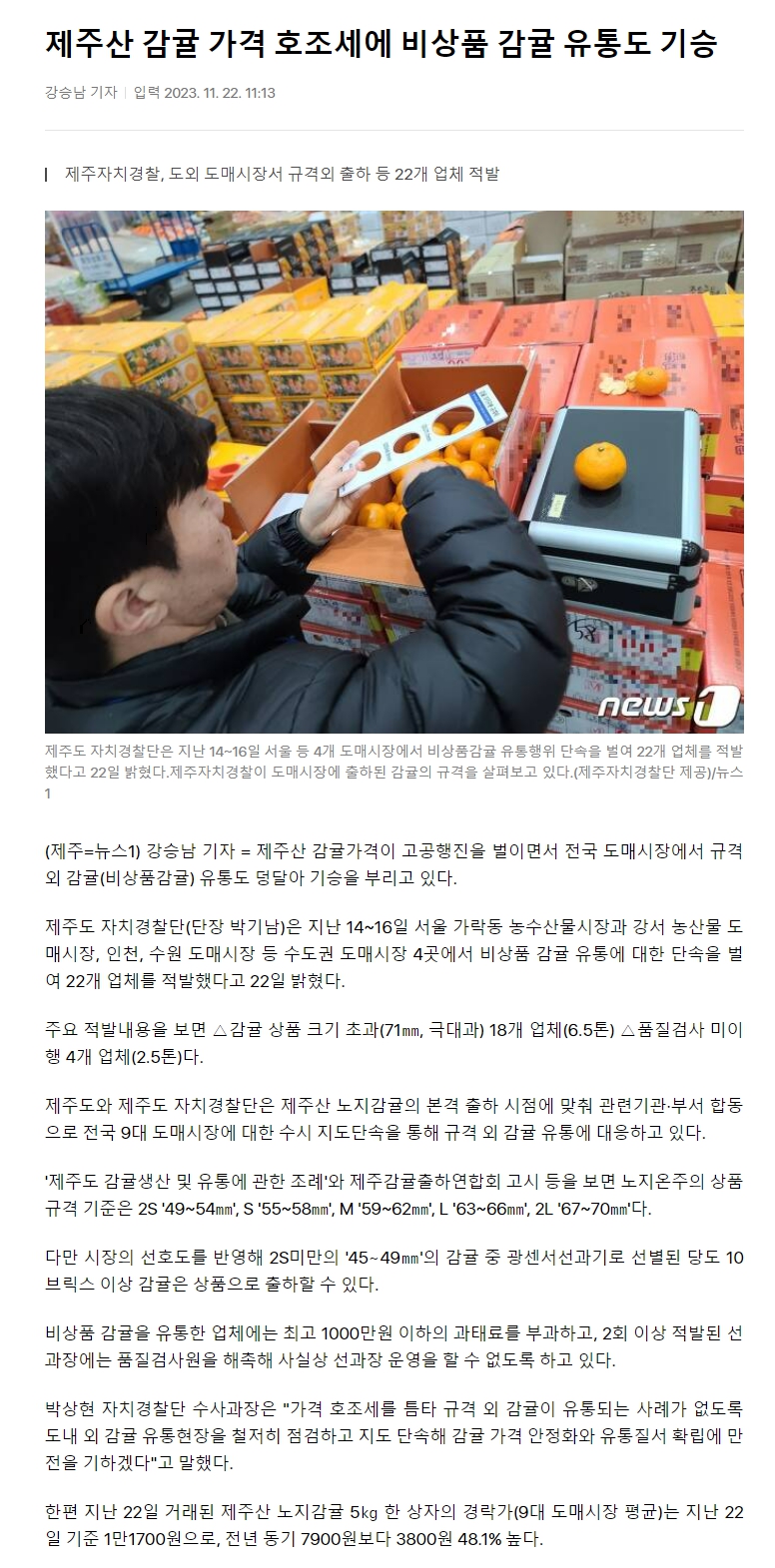 제주산 감귤 가격 호조세에 비상품 감귤 유통도 기승
