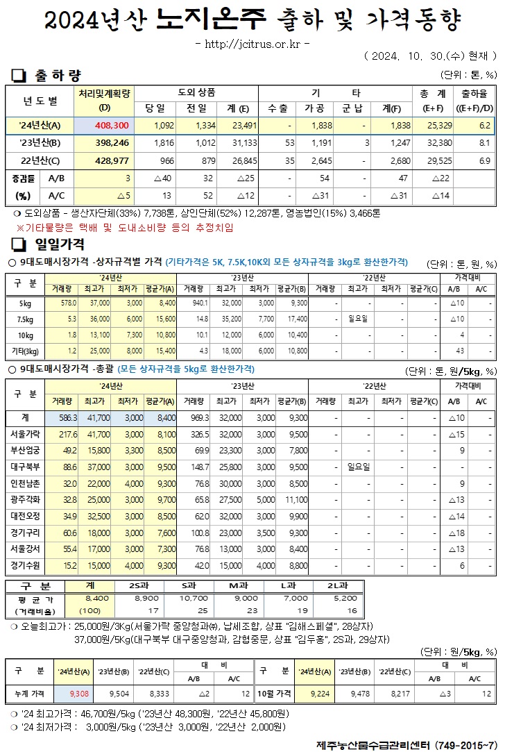 [노지온주]2024년산 출하 및 가격동향(10/30)