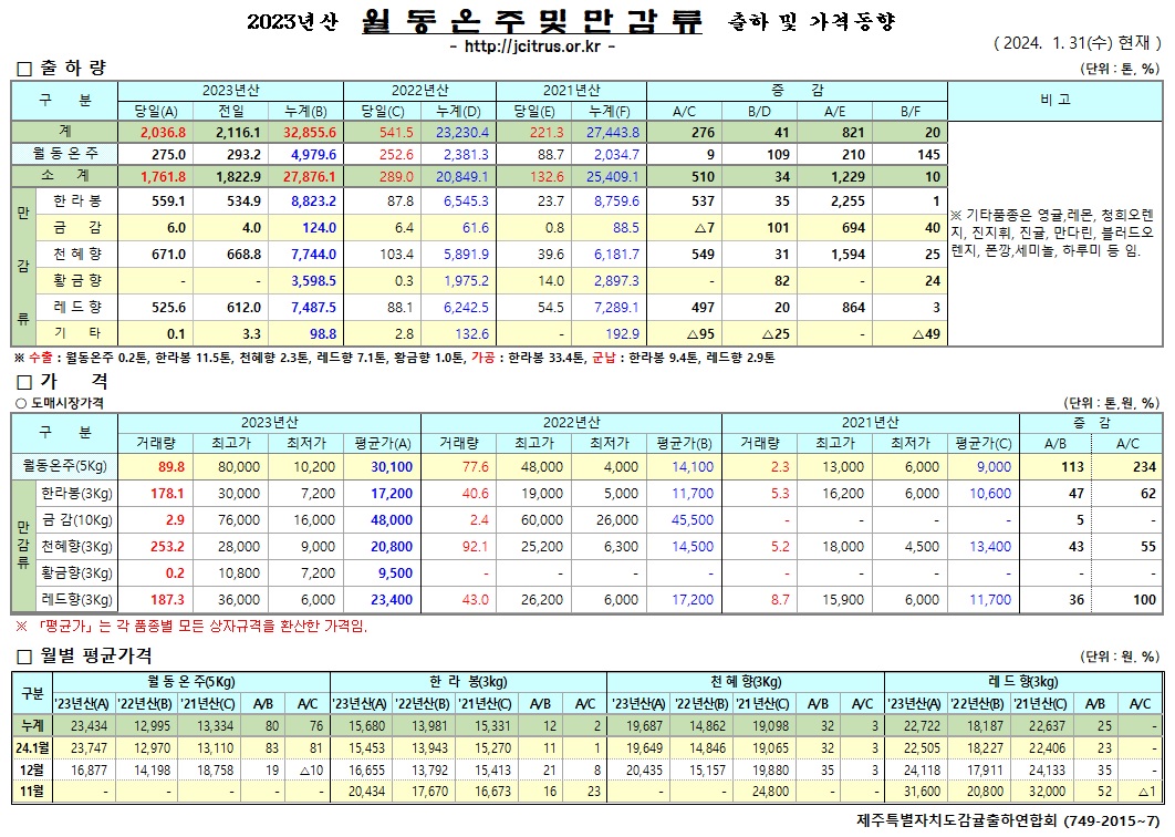 [월동&만감]2023년산 출하 및 가격동향(1/31)