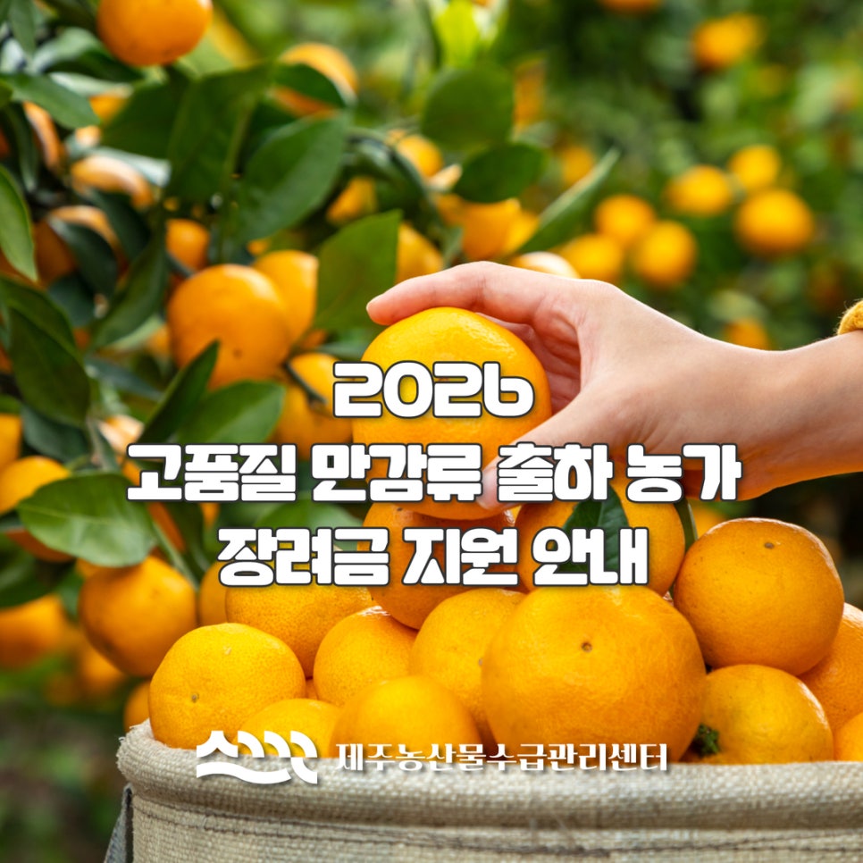 2026년도 고품질 만감류 출하 농가 장려금 지원 안내