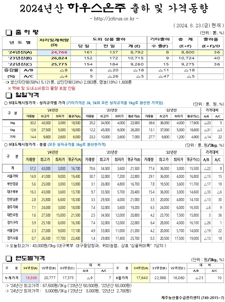 [하우스온주]2024년산 출하 및 가격동향(8/23)