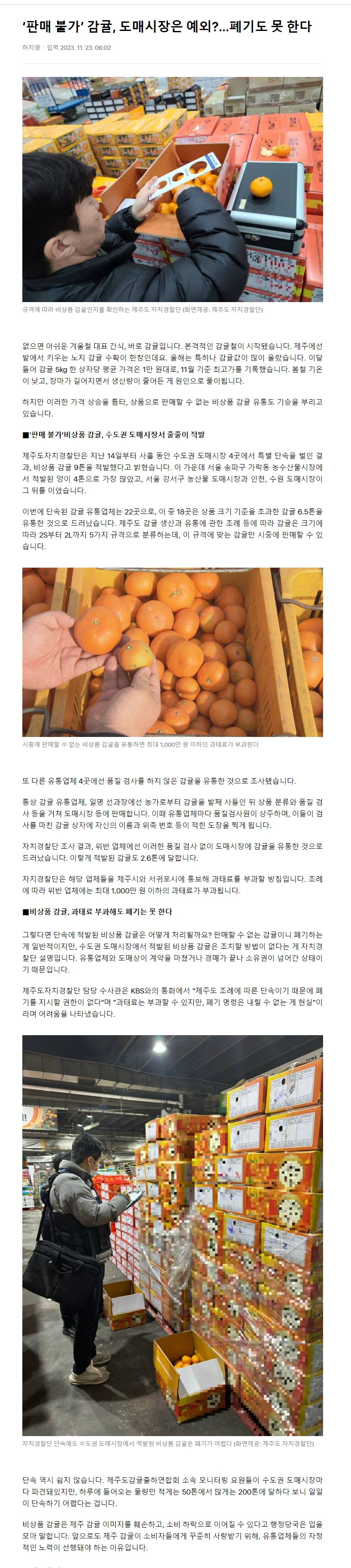 ‘판매 불가’ 감귤, 도매시장은 예외?…폐기도 못 한다