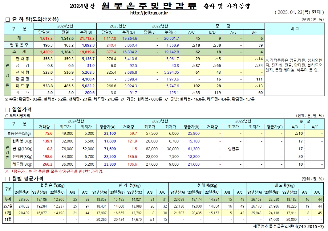 [월동&만감]2024년산 출하 및 가격동향(1/23)