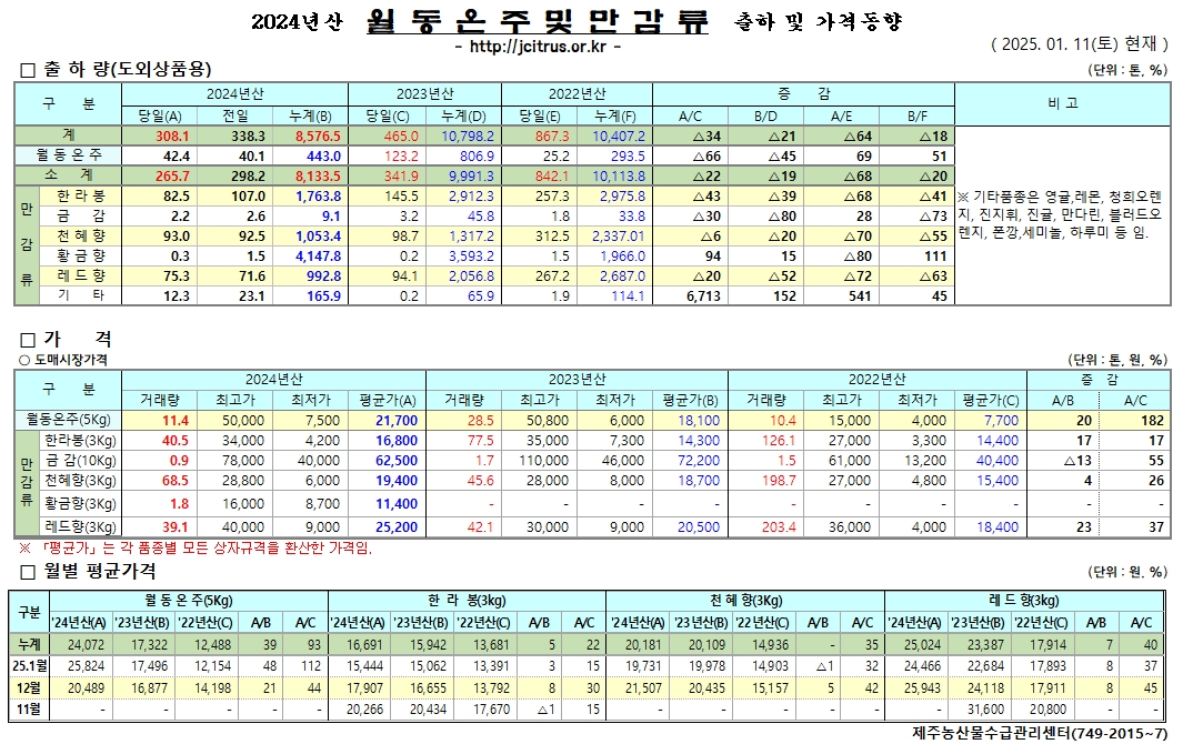 [월동&만감]2024년산 출하 및 가격동향(1/11)