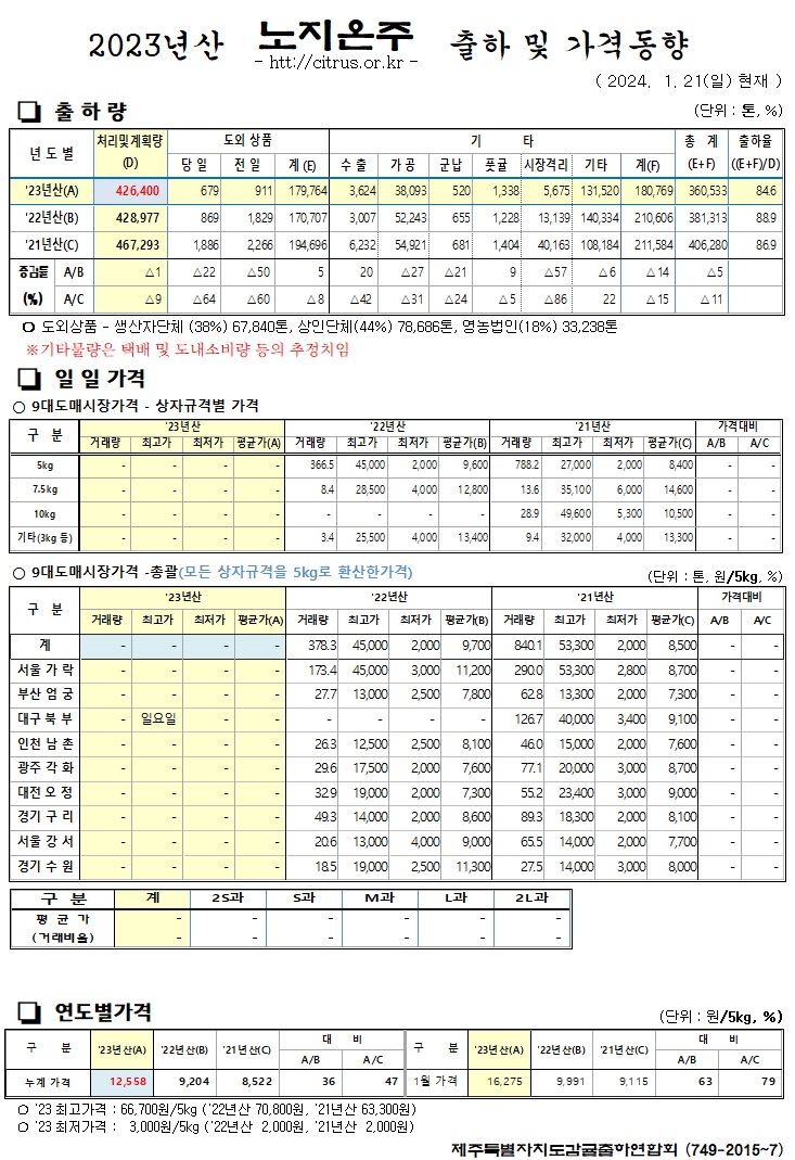 [노지온주]2023년산 출하 및 가격동향(1/21)