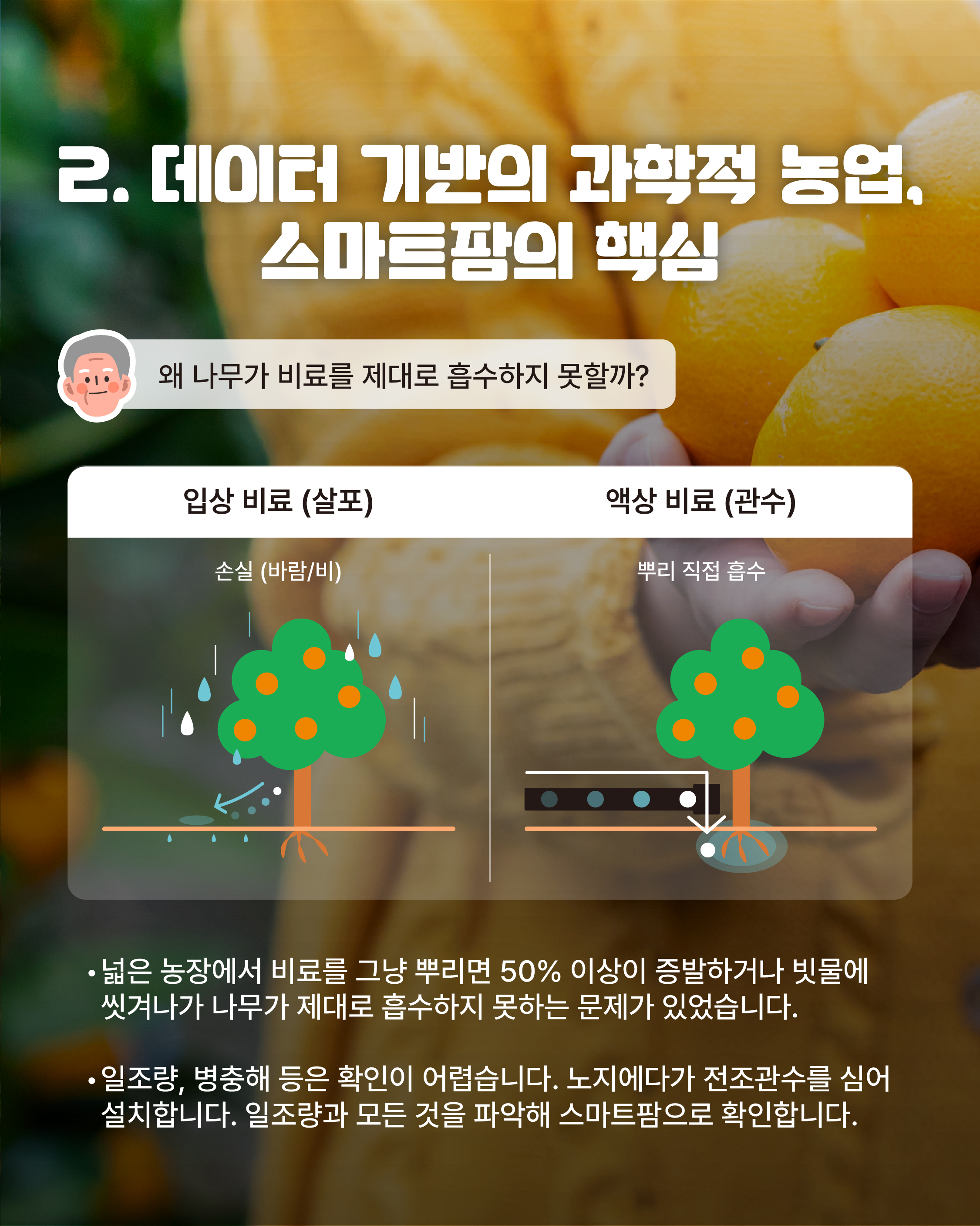 [대기업 34년차, 송두옥 명인]제주 귀농 후 스마트팜으로 감귤 산업의 미래를 열다!