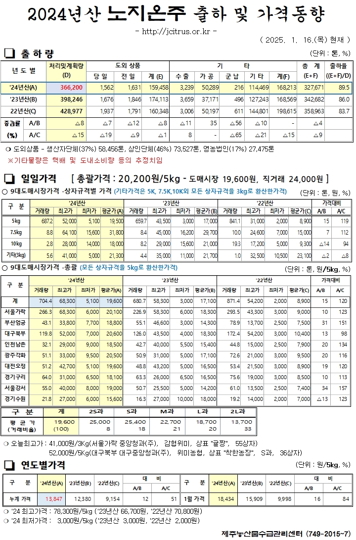[노지온주]2024년산 출하 및 가격동향(1/16)