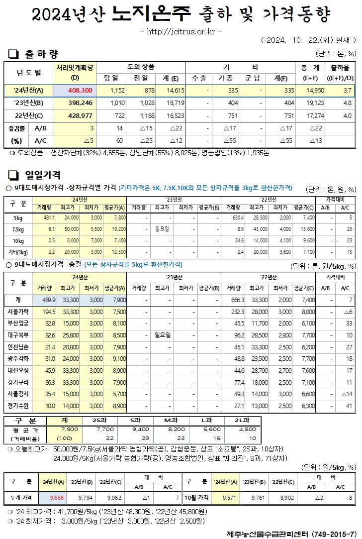 [노지온주]2024년산 출하 및 가격동향(10/22)