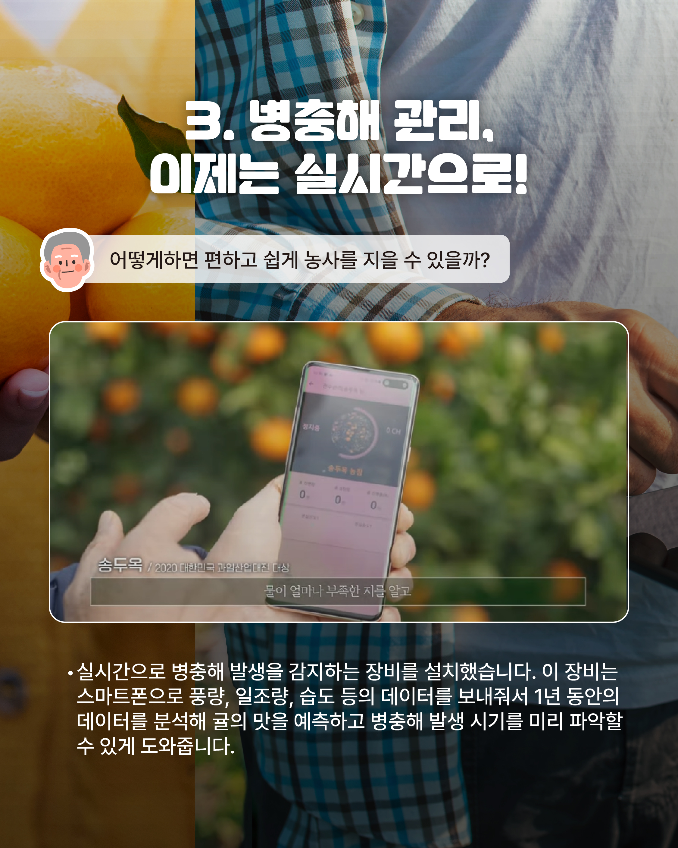 [대기업 34년차, 송두옥 명인]제주 귀농 후 스마트팜으로 감귤 산업의 미래를 열다!