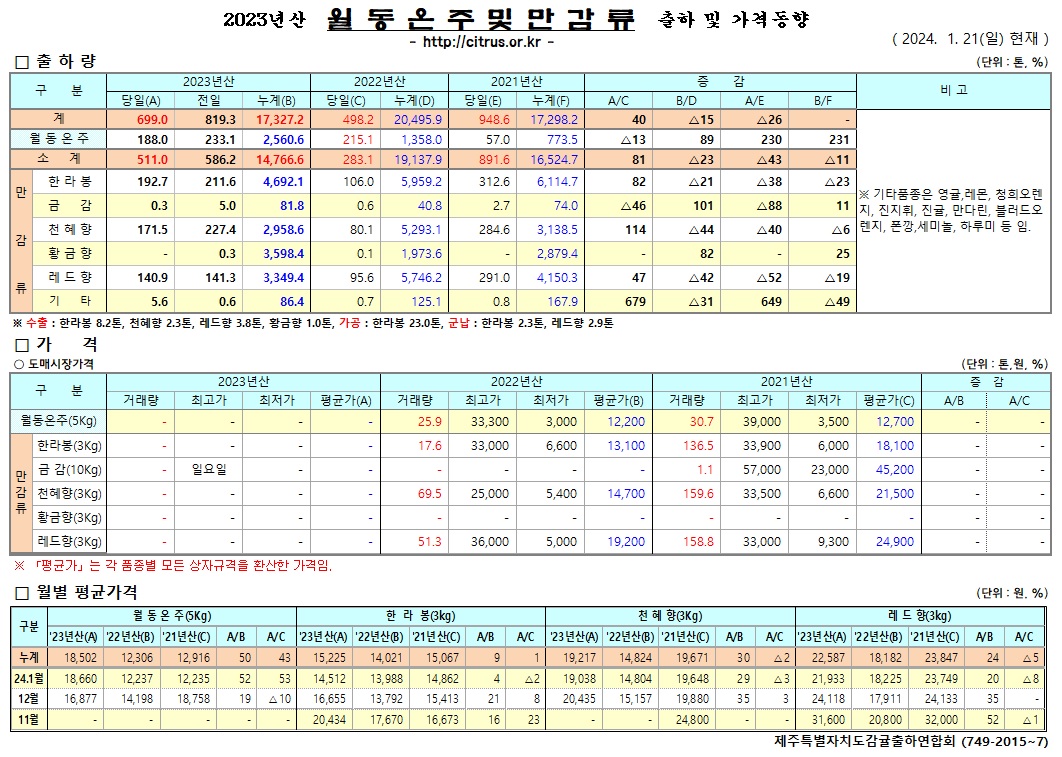 [월동&만감]2023년산 출하 및 가격동향(1/21)