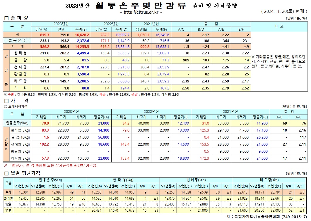 [월동&만감]2023년산 출하 및 가격동향(1/20)