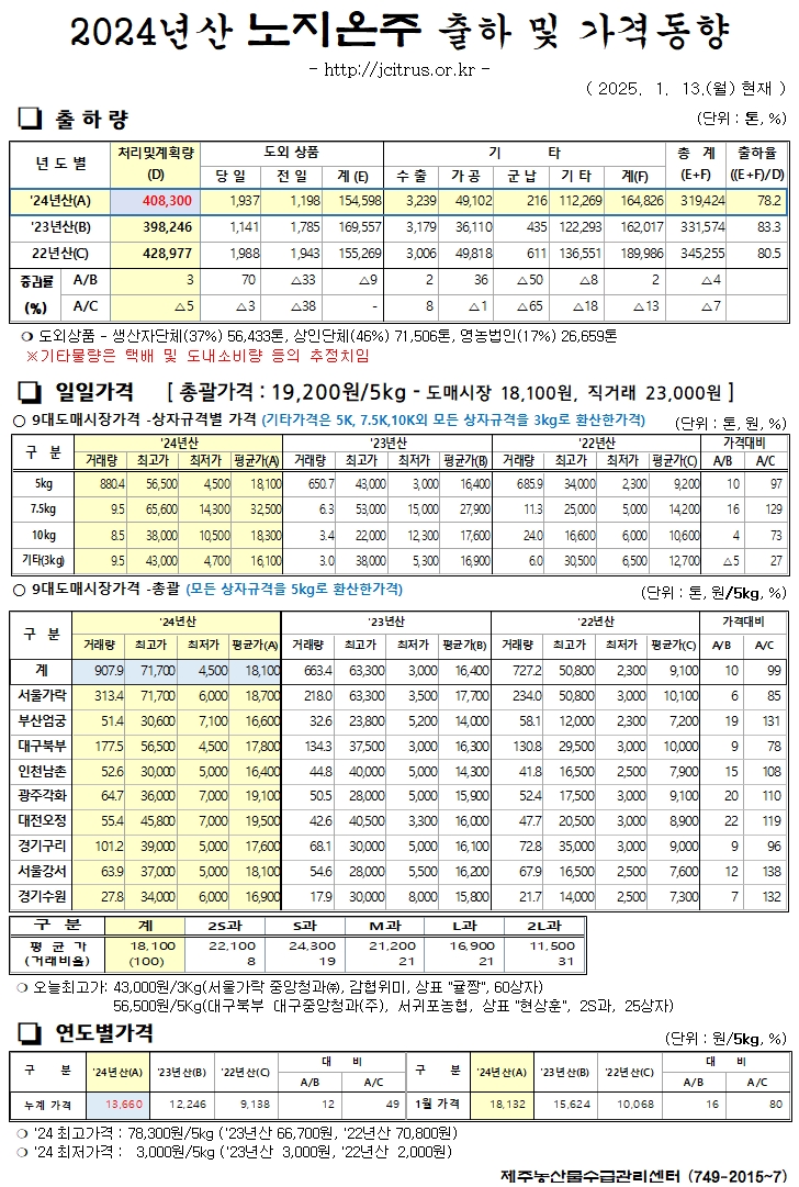 [노지온주]2024년산 출하 및 가격동향(1/13)