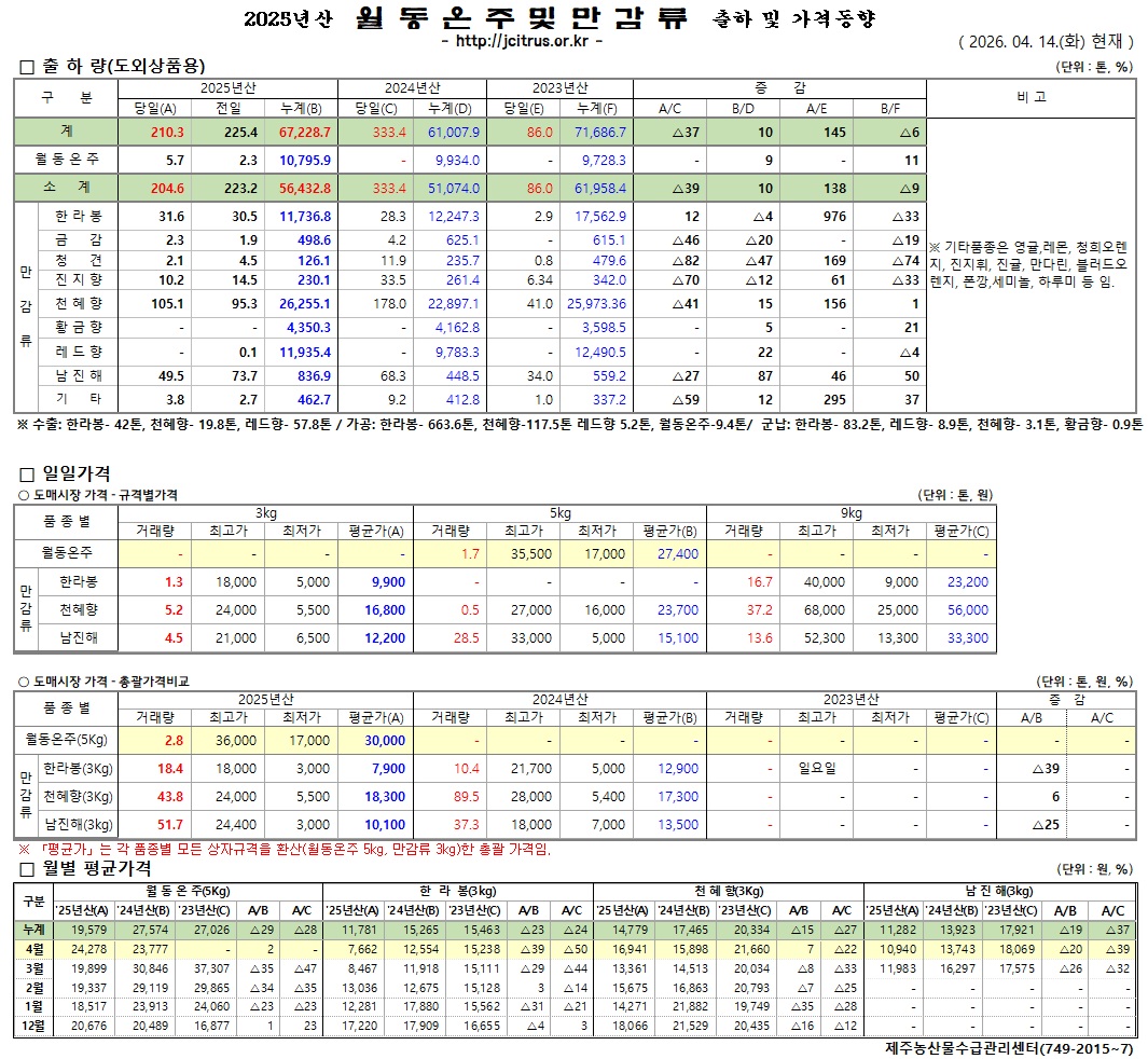 [월동&만감]2025년산 출하 및 가격동향(4/14)
