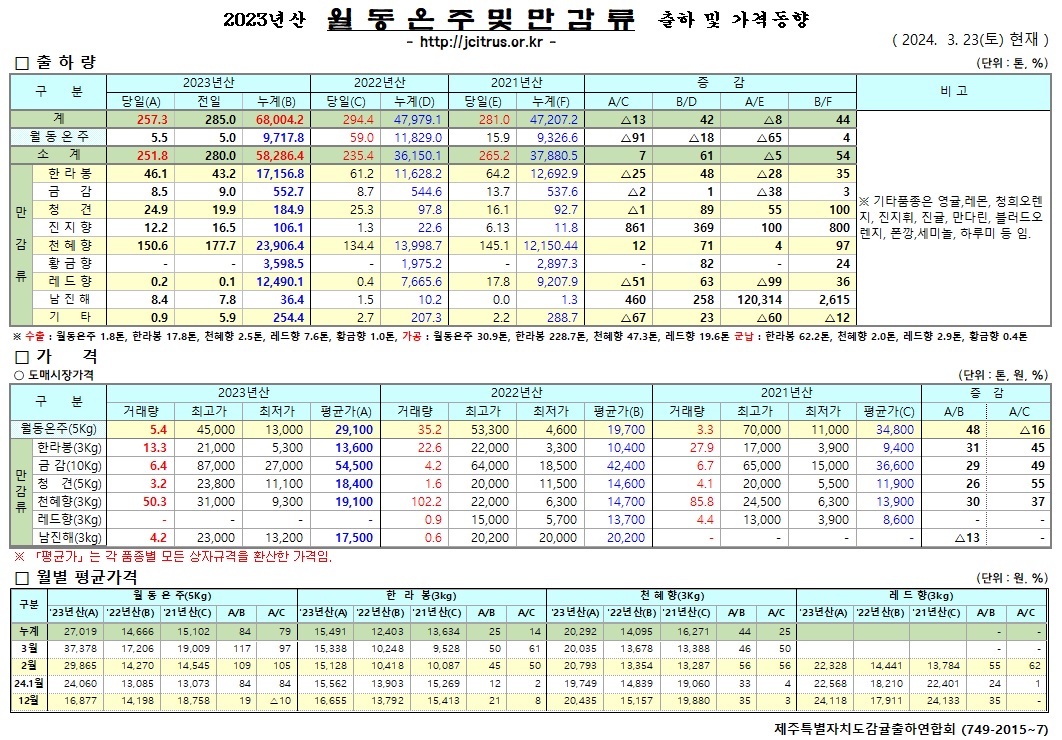 [월동&만감]2023년산 출하 및 가격동향(3/23)