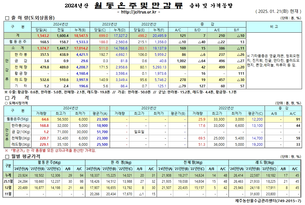 [월동&만감]2024년산 출하 및 가격동향(1/21)