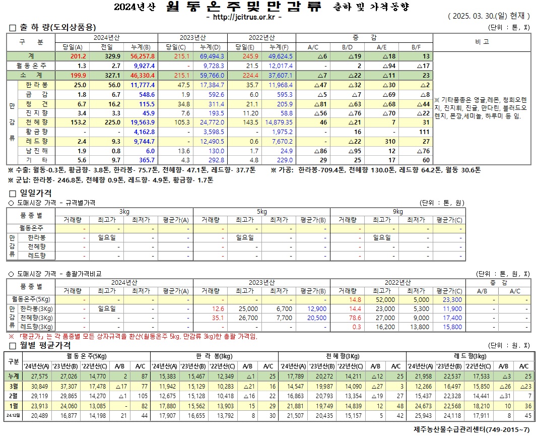[월동&만감]2024년산 출하 및 가격동향(3/30)
