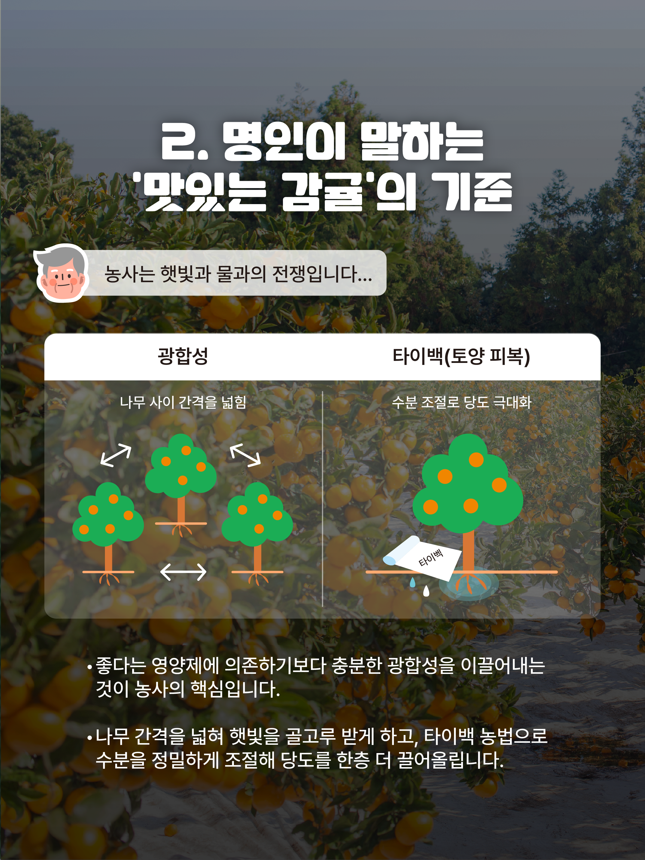 [김종우 명인]스마트팜과 빅데이터를 활용한 고품질 감귤 생산