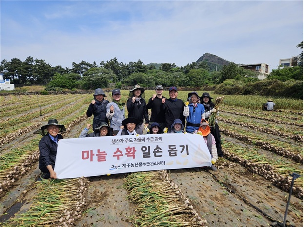[관련사진] 0514_마늘수확.jpg