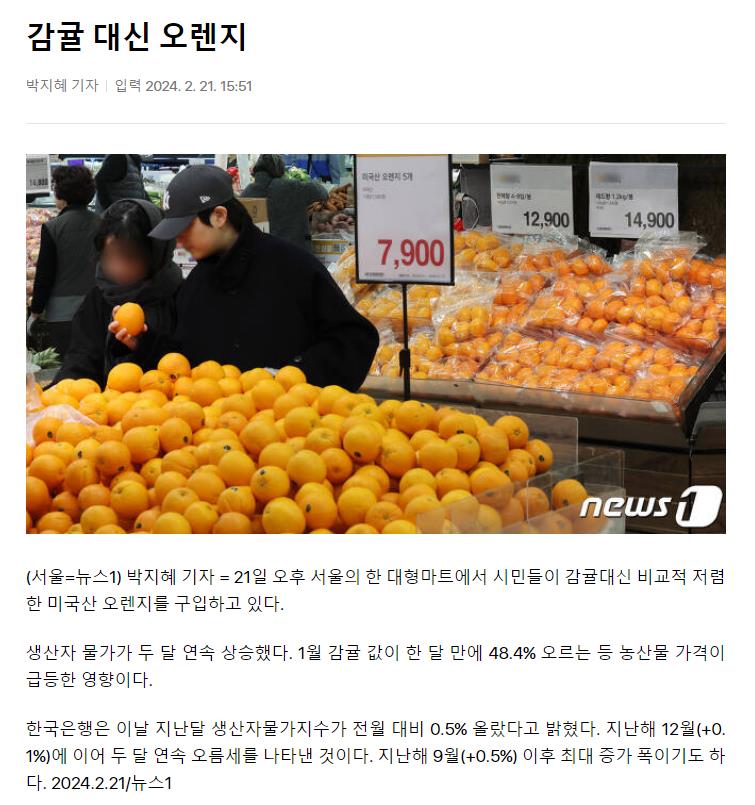 감귤 대신 오렌지