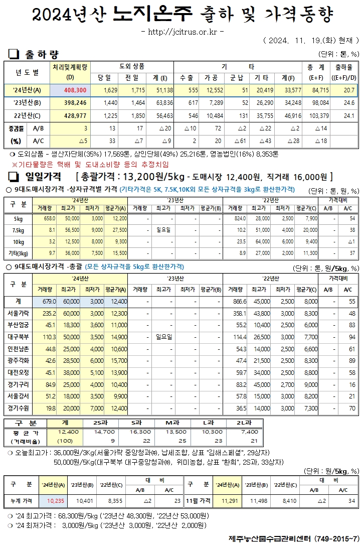 [노지온주]2024년산 출하 및 가격동향(11/19)