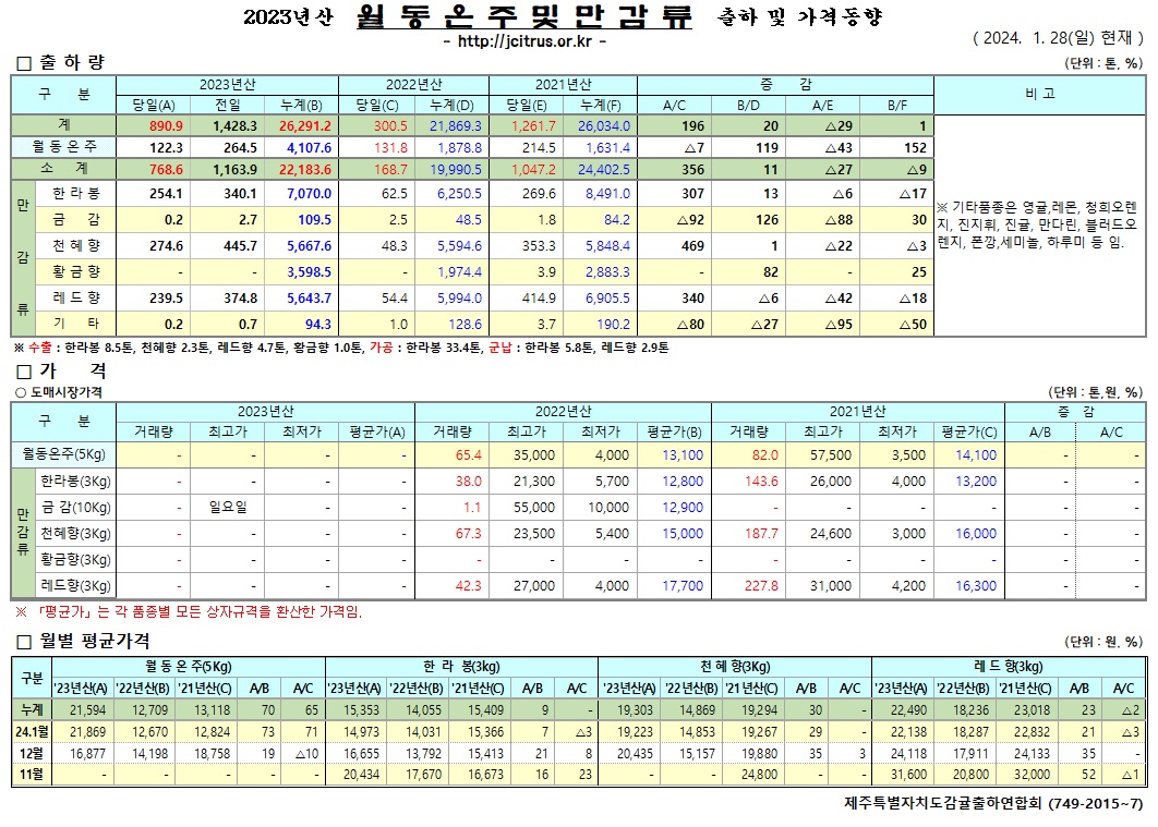 [월동&만감]2023년산 출하 및 가격동향(1/28)
