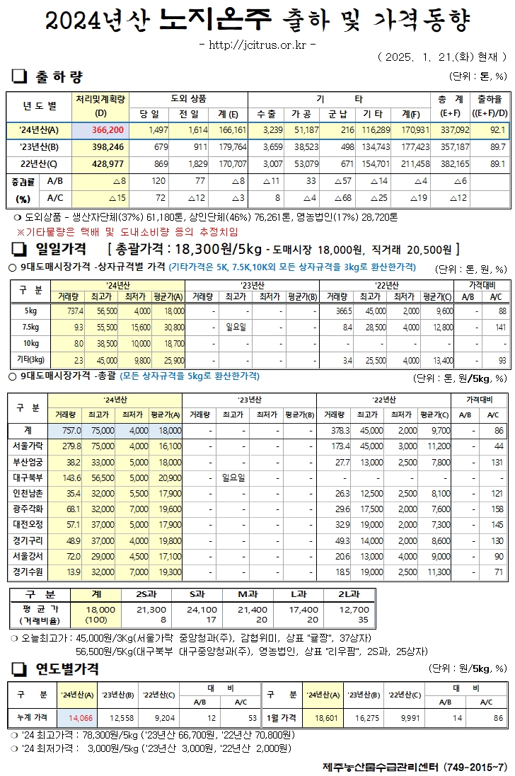 [노지온주]2024년산 출하 및 가격동향(1/21)