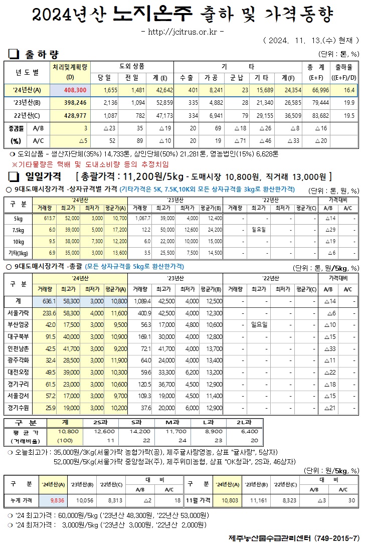 [노지온주]2024년산 출하 및 가격동향(11/13)