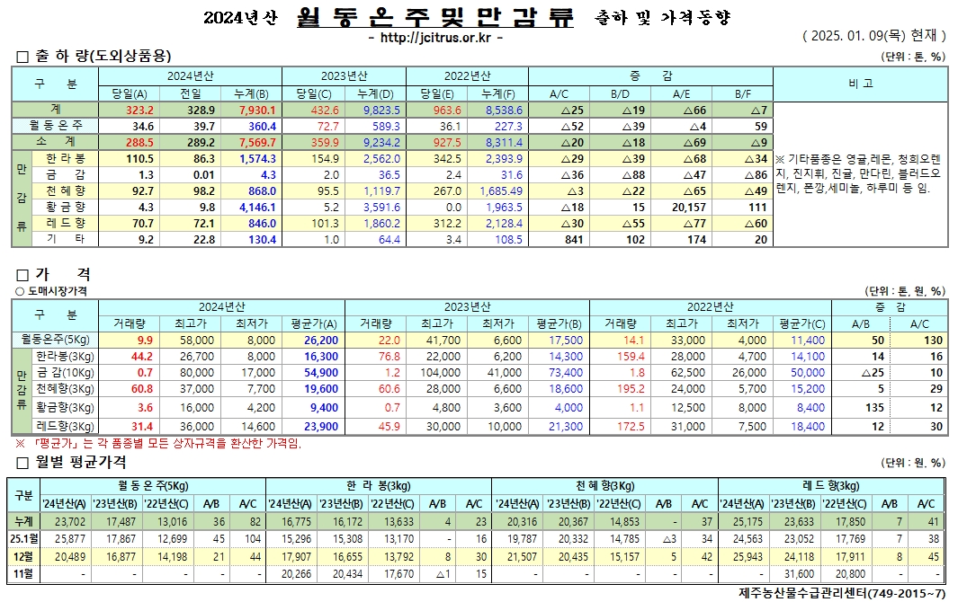 [월동&만감]2024년산 출하 및 가격동향(1/09)